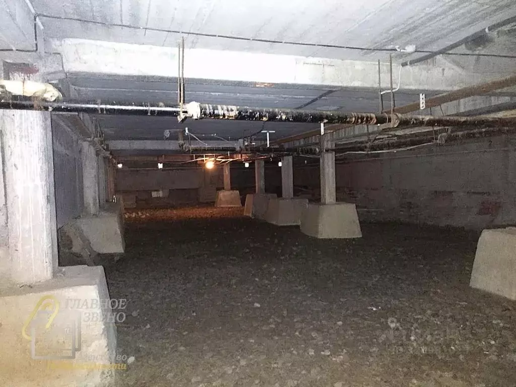 Помещение свободного назначения в Новосибирская область, Новосибирск ... - Фото 2