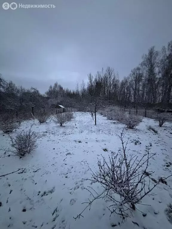 Участок в Суворовский район, сельское поселение Юго-Восточное, деревня ... - Фото 2