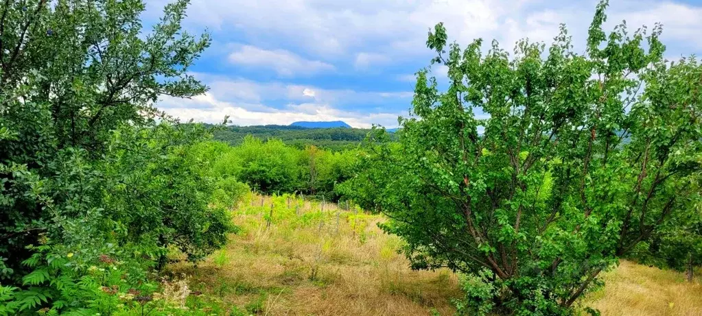 Участок в Краснодарский край, Северский район, Ильское городское ... - Фото 1