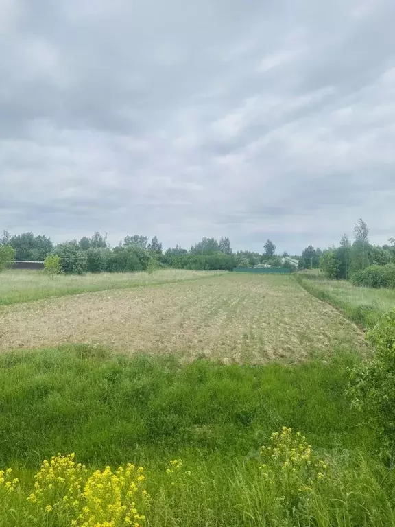 Участок в Московская область, Коломна городской округ, д. Тимирево 18 ... - Фото 1