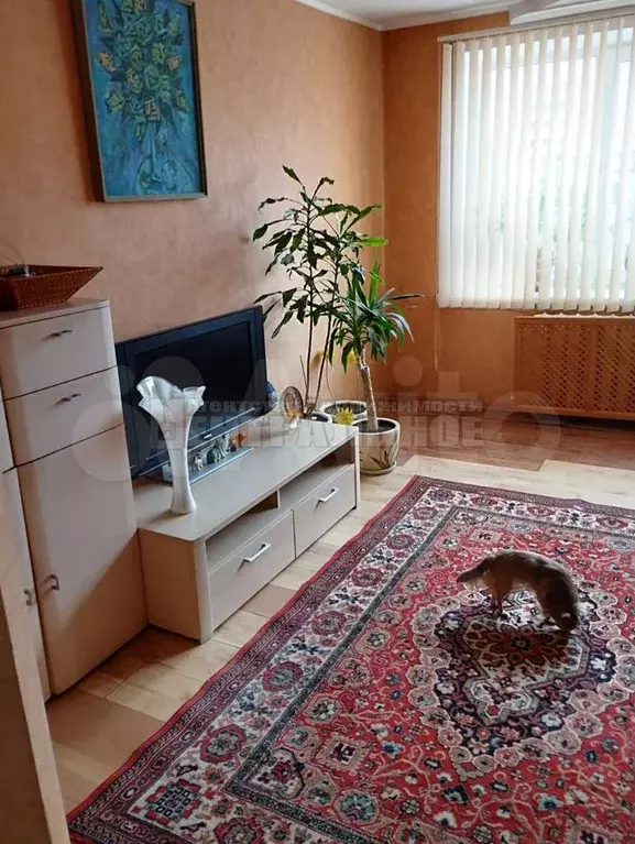 2-к. квартира, 50,3 м, 5/5 эт. - Фото 1