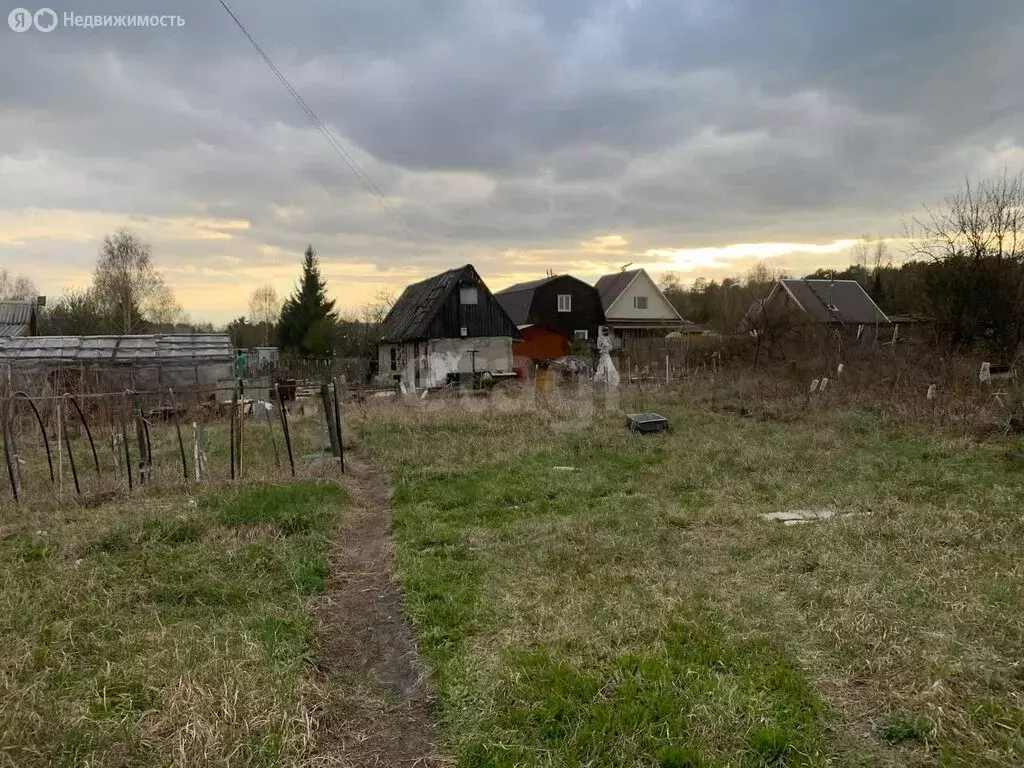 Участок в Нижнетавдинский район, сельскохозяйственный потребительский ... - Фото 1