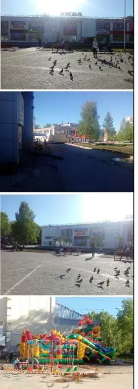 Торговая площадь в Коми, Сыктывкар ул. Космонавтов, 4 (2092 м) - Фото 1