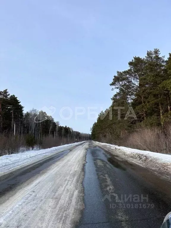 Участок в Тюменская область, Тюменский район, с. Кулига, Кулига-2 мкр  ... - Фото 1