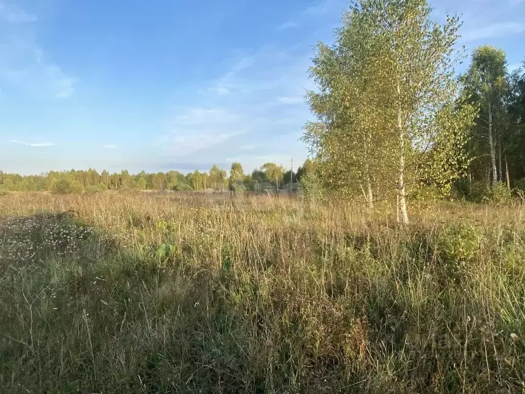 Участок в Марий Эл, Морки городское поселение, д. Старое Мазиково  ... - Фото 1