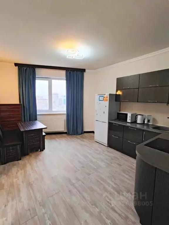 1-к кв. Новосибирская область, Новосибирск ул. Фрунзе, 230 (42.0 м) - Фото 1