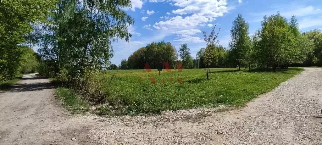 Участок в Владимирская область, Петушинский муниципальный округ, д. ... - Фото 1