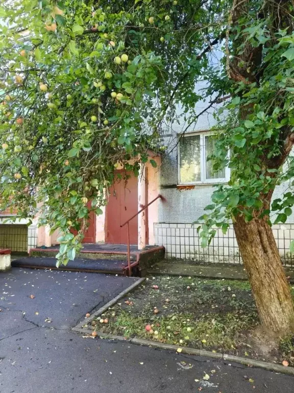3-к кв. Московская область, Ступино городской округ, Жилево пгт ул. ... - Фото 1