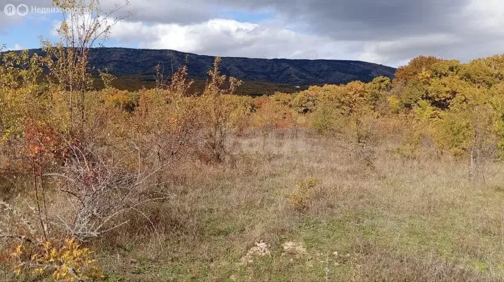 Участок в Старый Крым, Южная улица (60 м) - Фото 2