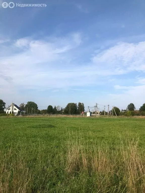 Участок в Толмачёвское городское поселение (15 м) - Фото 2