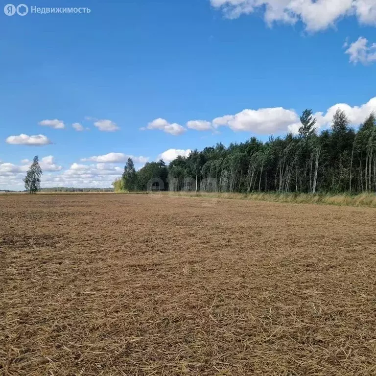 Участок в село Арахлей, 2-я Новая улица (10 м) - Фото 1