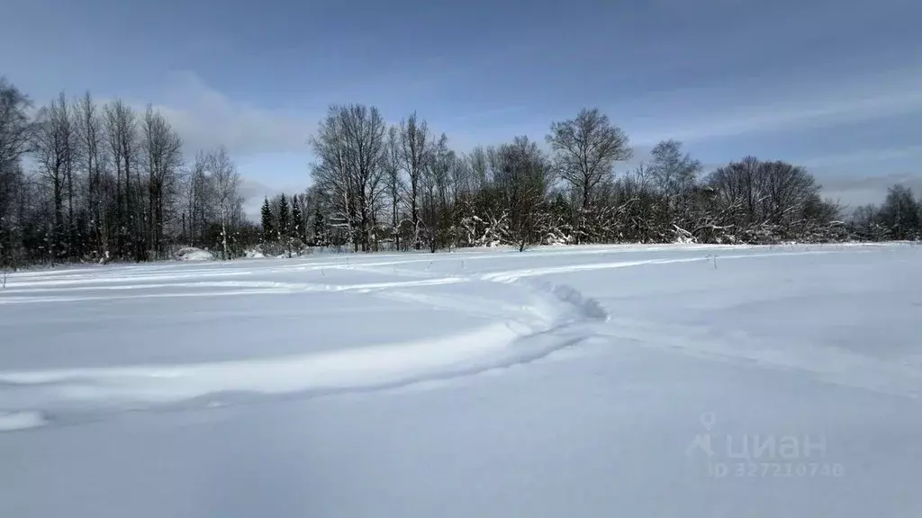 Участок в Московская область, Истра ул. Ленина, Река Истра (10.0 сот.) - Фото 2