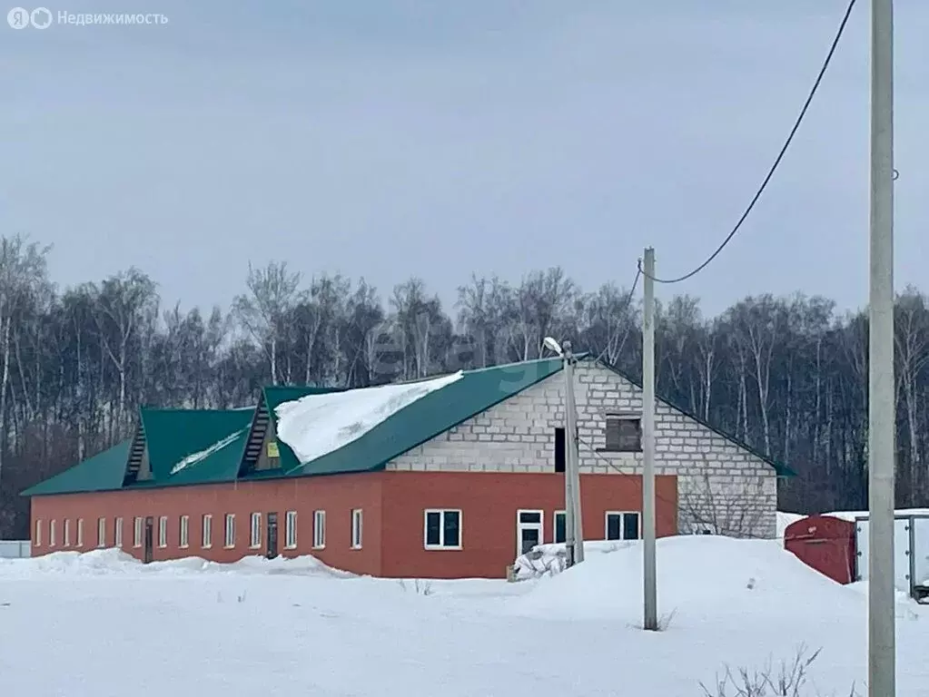 Помещение свободного назначения (10664.3 м) - Фото 1