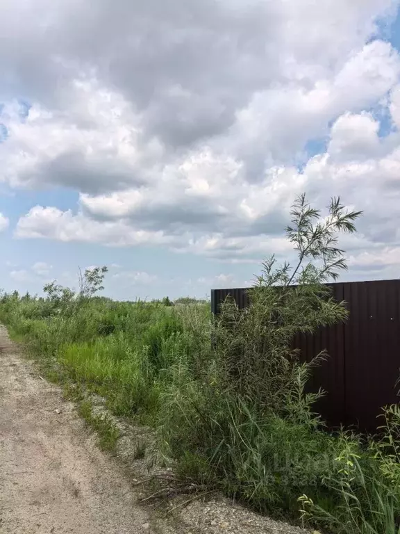Участок в Хабаровский край, Хабаровский район, с. Мирное Рабочая ул. ... - Фото 2