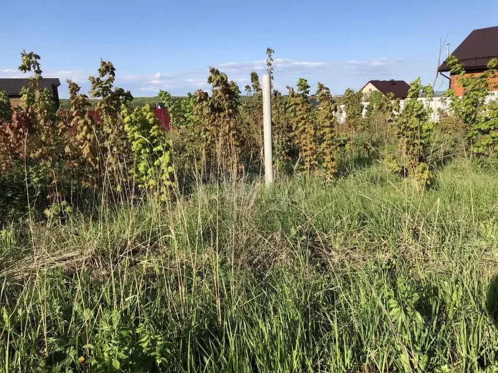 Участок в Мордовия, Саранск городской округ, Николаевка рп ул. Южная ... - Фото 1