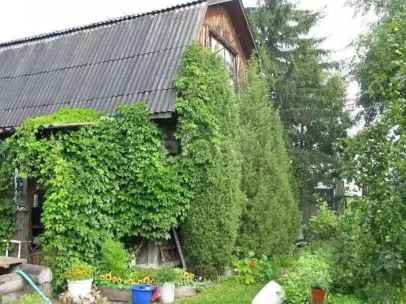 Дом в Тюменская область, Тюмень Строитель СНТ, ул. Кольцевая (58 м) - Фото 1