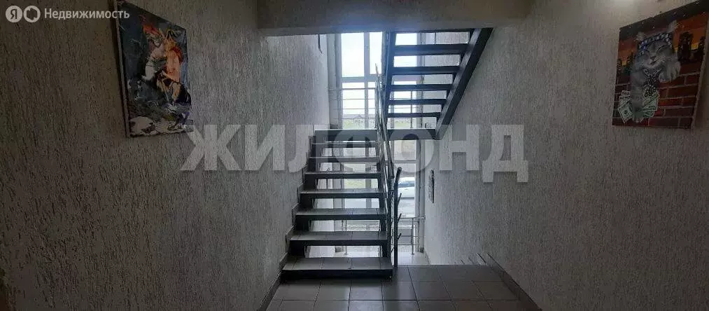 Квартира-студия: Новосибирск, улица Николая Грицюка, 1/4 (20.6 м) - Фото 1