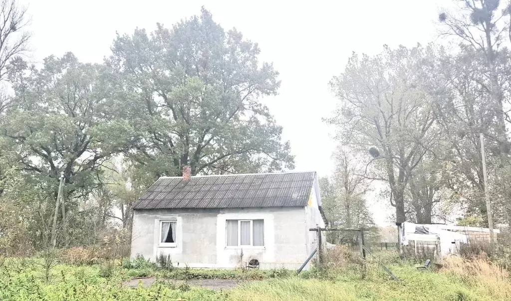 Дом в Калининградская область, Нестеровский муниципальный округ, пос. ... - Фото 1