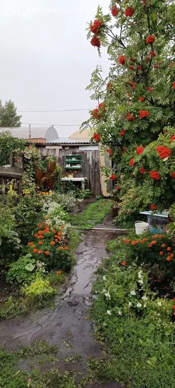 Участок в село Бердюжье, улица Чапаева (37 м) - Фото 1