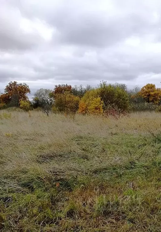 Участок в Новгородская область, Новгородский район, Ракомское с/пос, ... - Фото 0