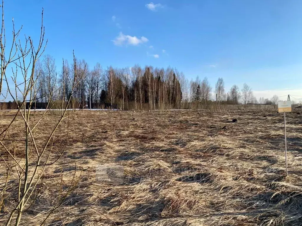 Участок в Московская область, Рузский городской округ, д. Федчино  ... - Фото 1