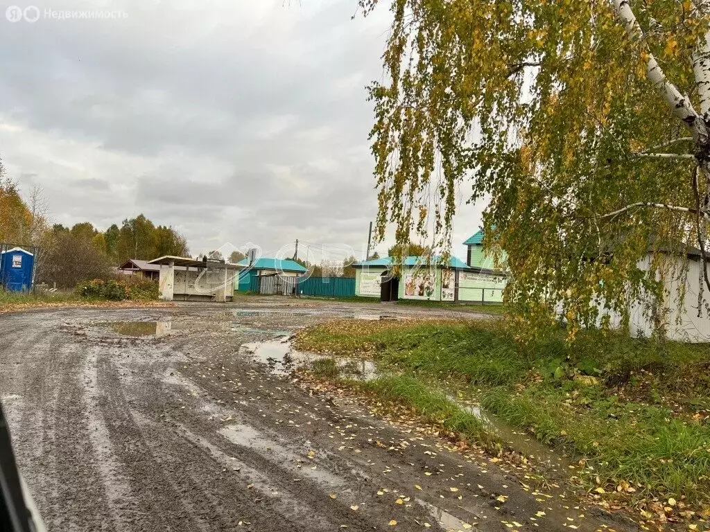 Участок в Тюменская область, Нижнетавдинский муниципальный округ, ... - Фото 0