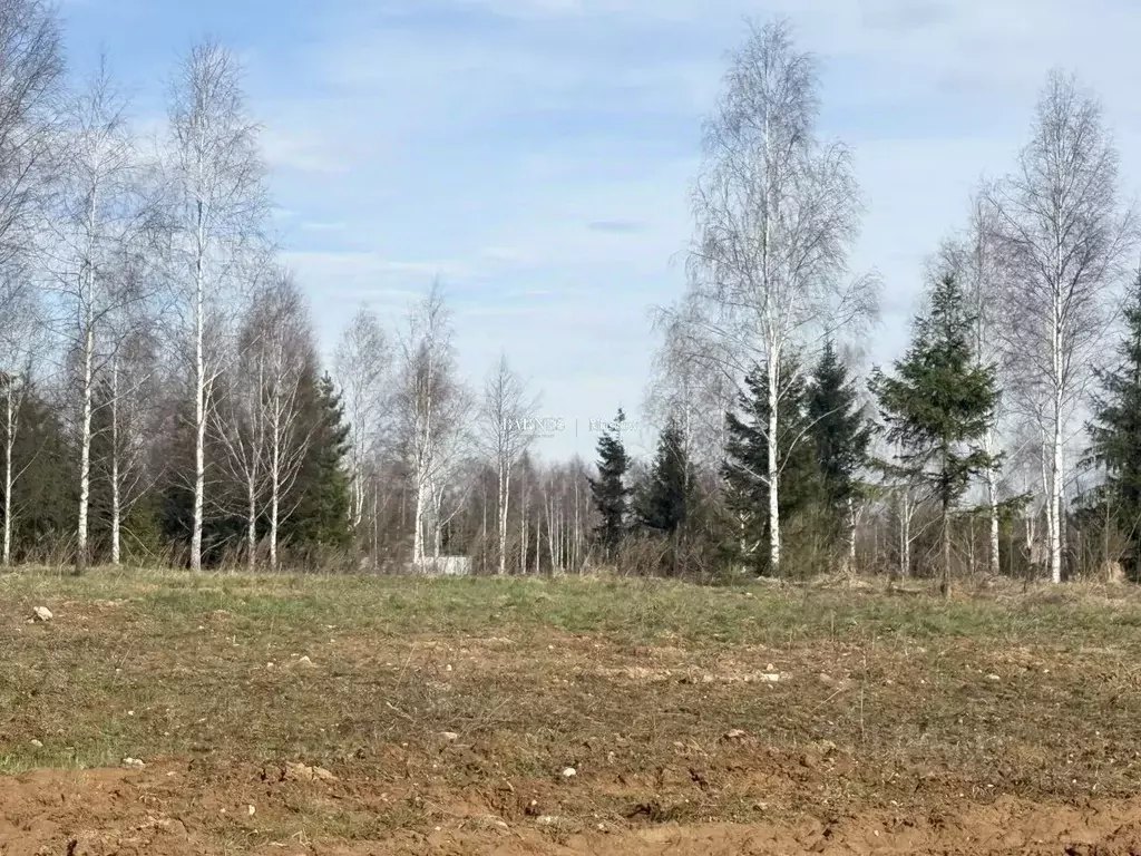 Участок в Москва № 450 кв-л,  (45.0 сот.) - Фото 2