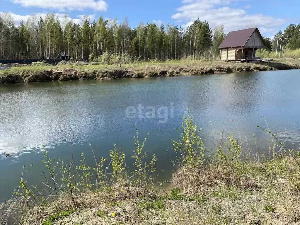 Участок в Тюменская область, Нижнетавдинский район, с. Тюнево  (18.01 ... - Фото 0