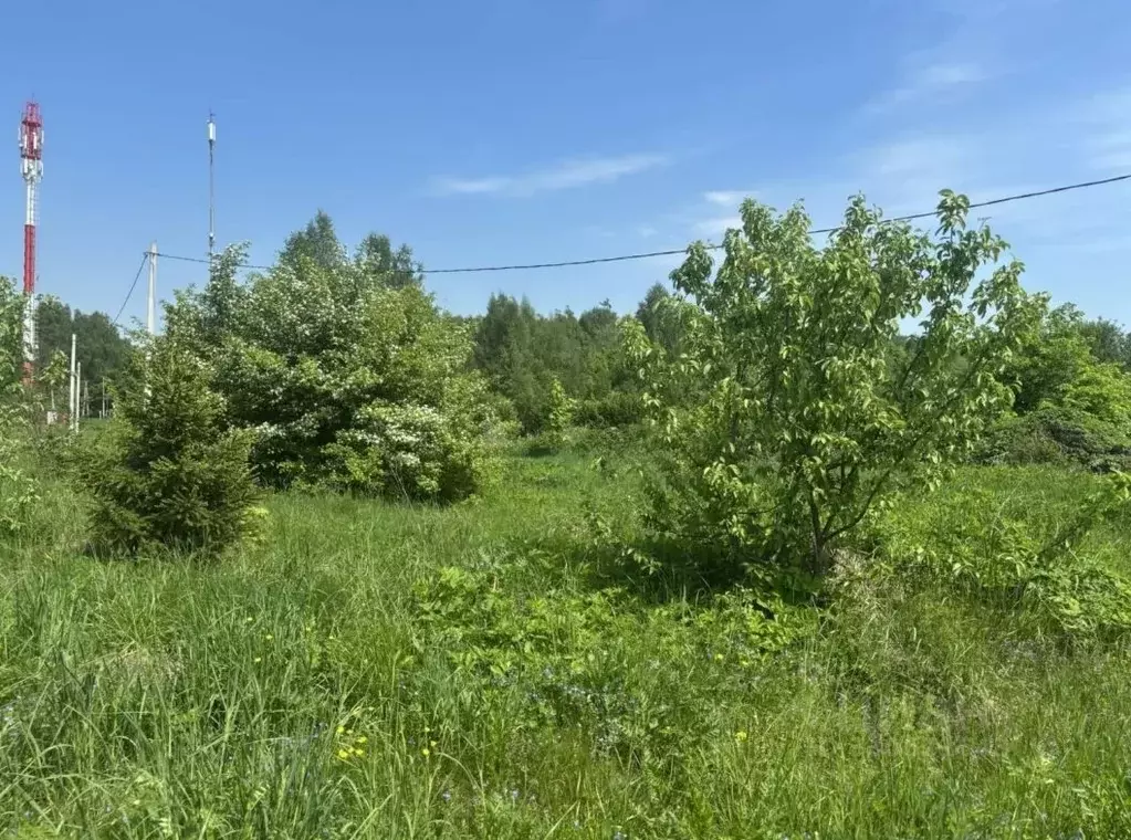 Участок в Московская область, Павлово-Посадский городской округ, д. ... - Фото 1