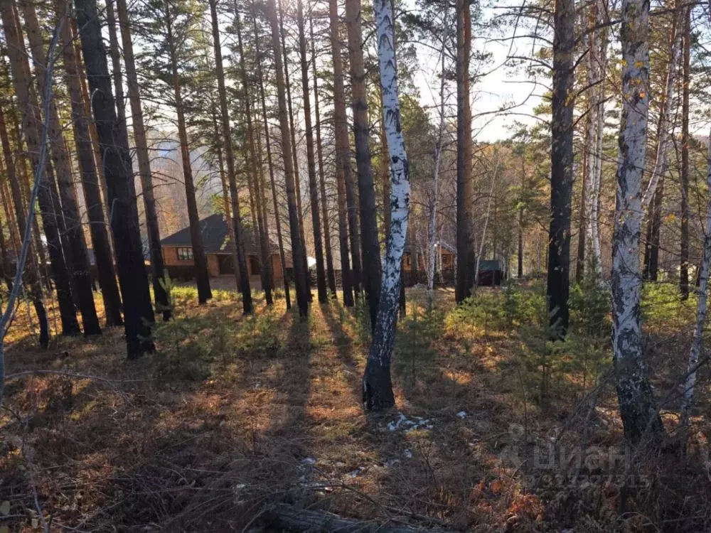 Участок в Иркутская область, Иркутский муниципальный округ, Маркова ... - Фото 2