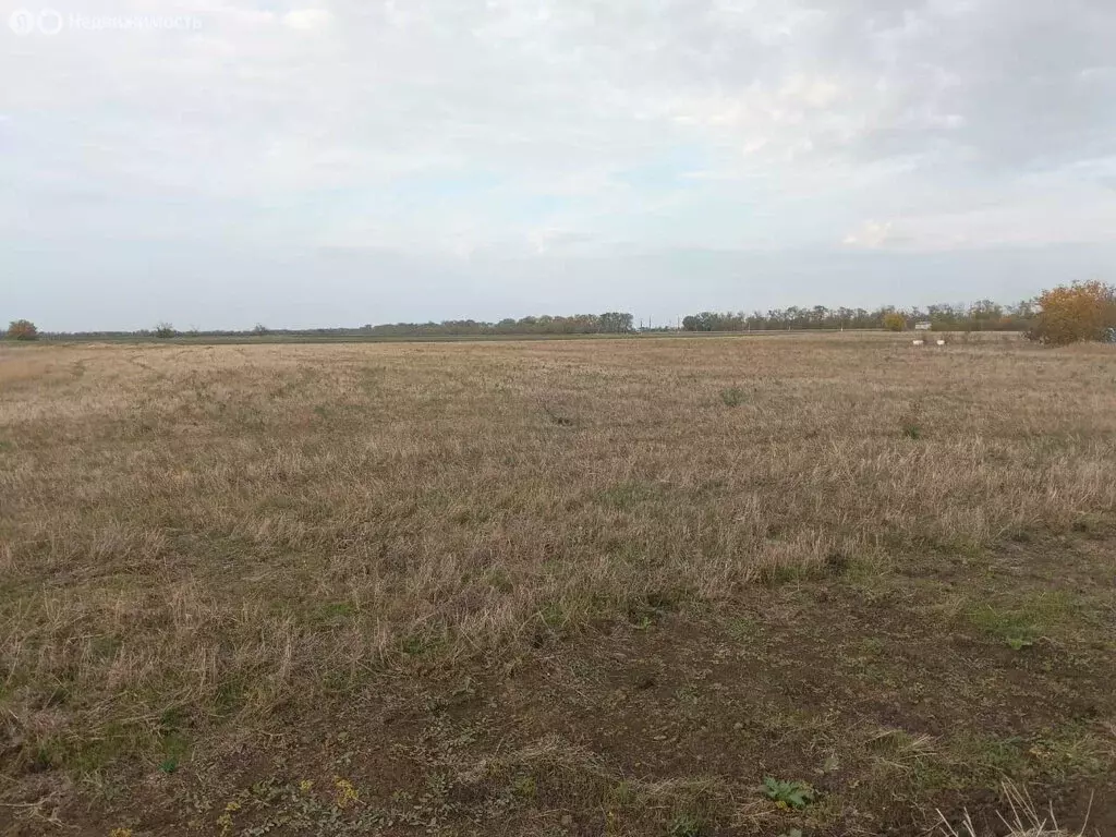 Участок в Комсомолец, Новая Садовая улица (17.5 м) - Фото 0