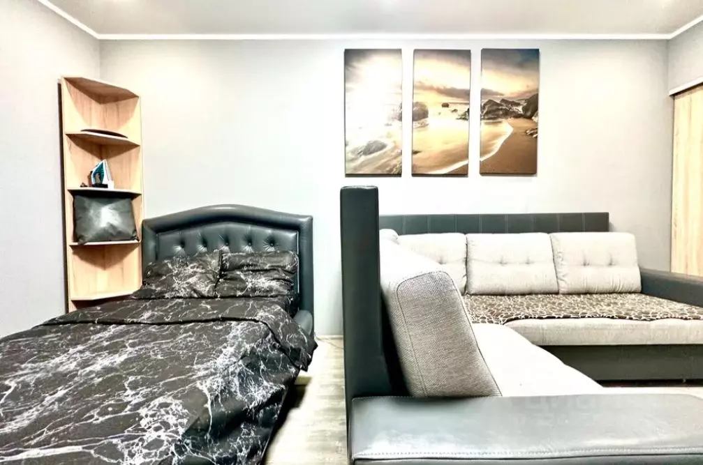 1-к кв. Рязанская область, Рязань ул. Брестская, 1 (20.0 м) - Фото 2