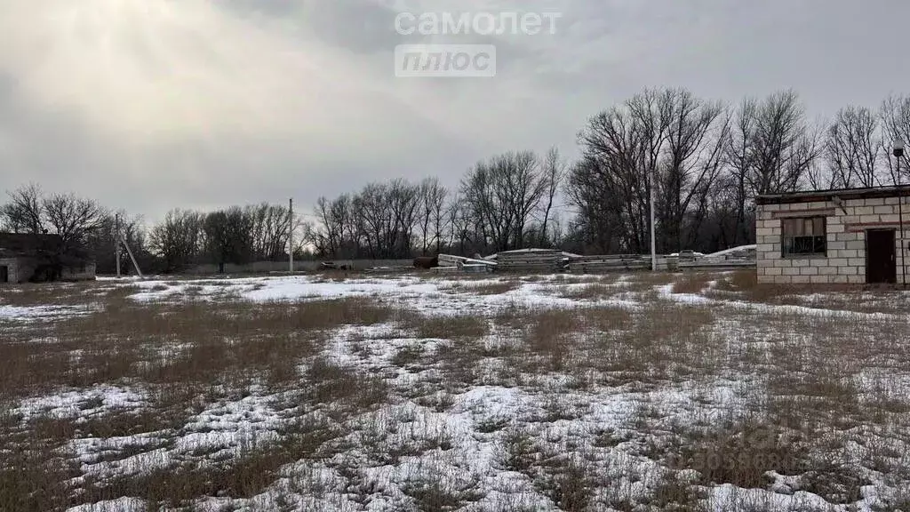 Участок в Астраханская область, Володарский район, пос. Винный Дальняя ... - Фото 1