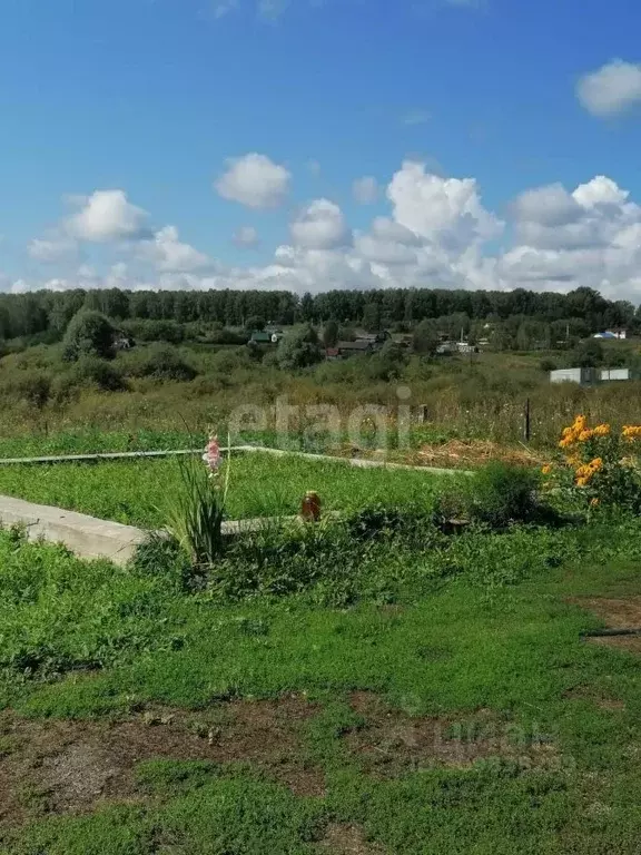 Дом в Новосибирская область, Новосибирский район, Плотниковский ... - Фото 0