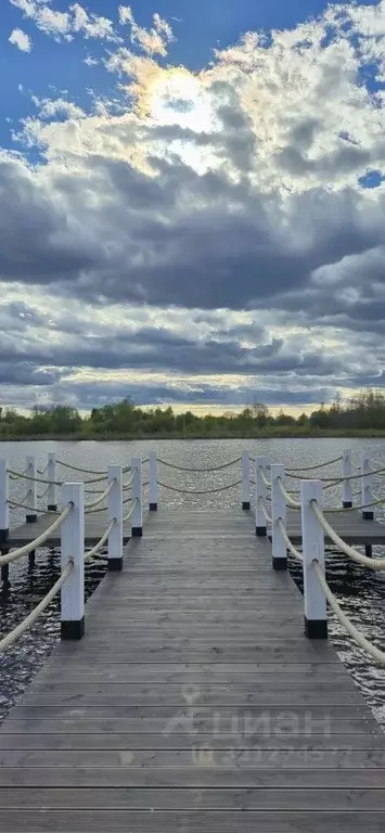 Участок в Ленинградская область, Приозерский район, Сосновское с/пос, ... - Фото 2