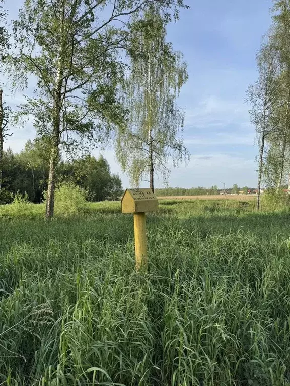 Участок в Московская область, Раменский муниципальный округ, Радужный ... - Фото 1
