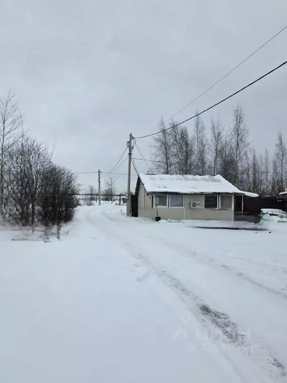 Участок в Санкт-Петербург Сергиево тер., ул. Красная, 13 (15.5 сот.) - Фото 2