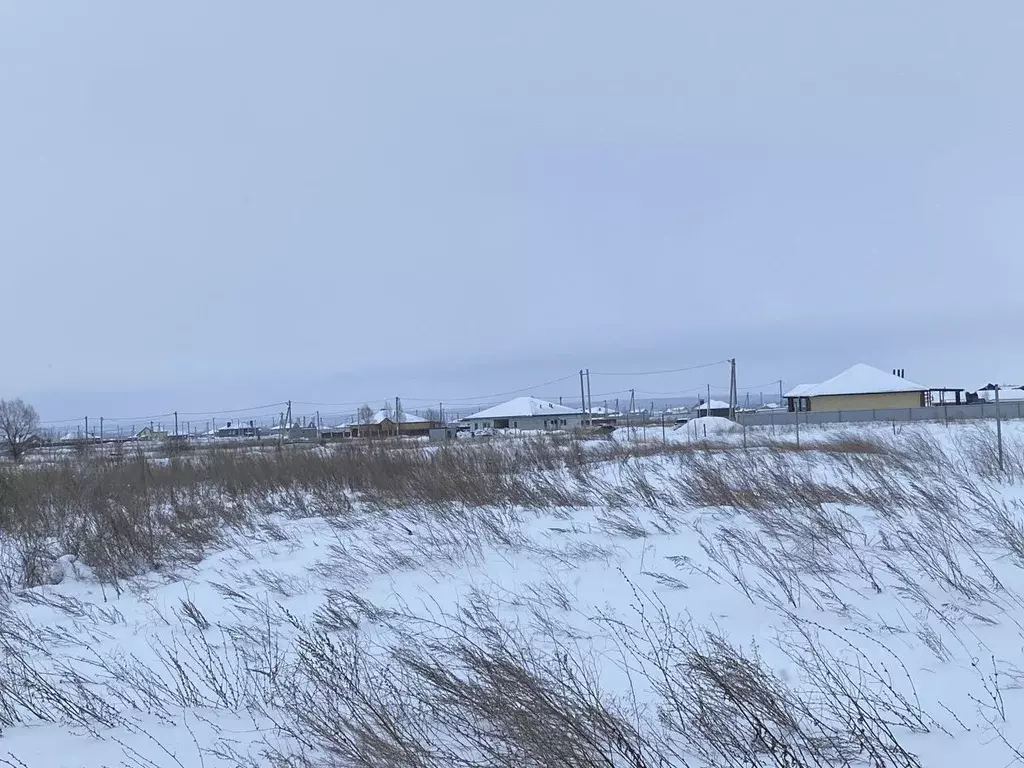 Участок в Татарстан, Лаишевский район, Рождественское с/пос, д. ... - Фото 2