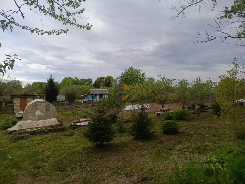 Участок в Новгородская область, Новгородский район, Трубичинское ... - Фото 2