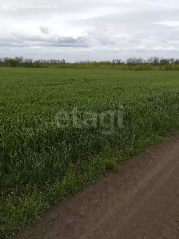 Участок в Хреновое, Молодёжная улица (100 м) - Фото 1