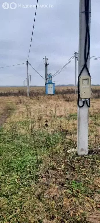 Участок в Ярославский муниципальный округ, деревня Починки (Рютневский ... - Фото 1