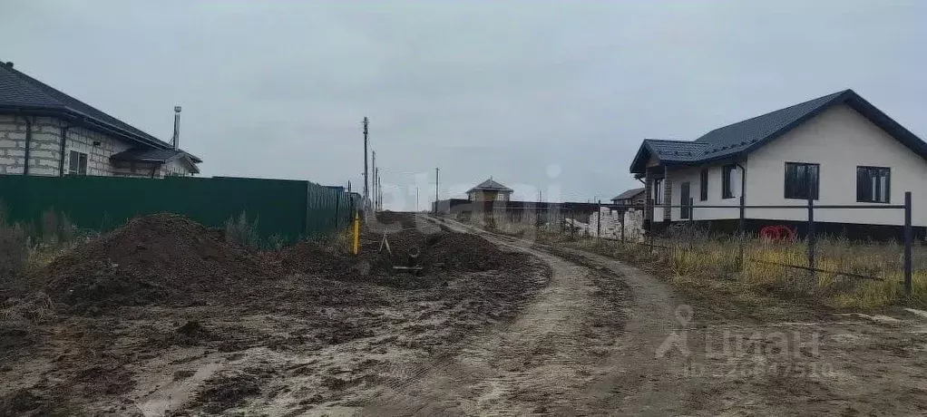 Участок в Воронежская область, Рамонский район, Новоживотинновское ... - Фото 1