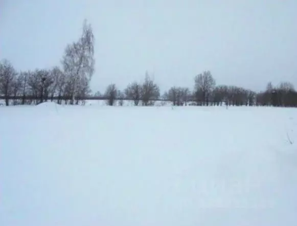 Участок в Московская область, Дмитровский муниципальный округ, с. ... - Фото 1
