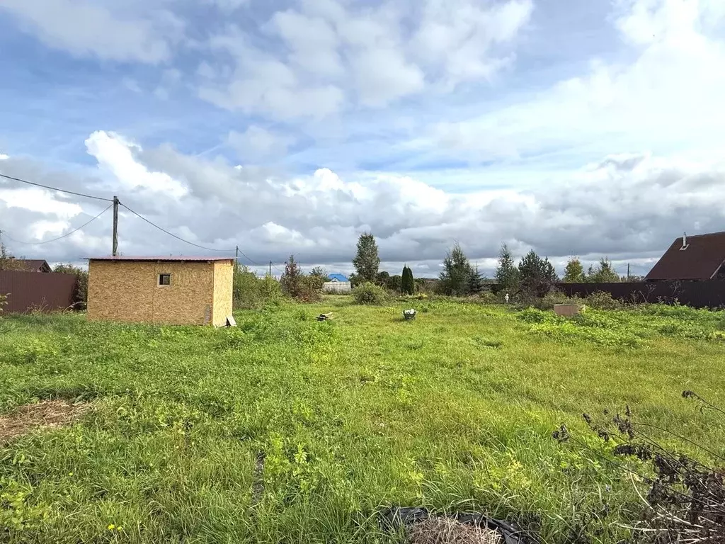 Участок в Новгородская область, Новгородский район, Трубичинское ... - Фото 2