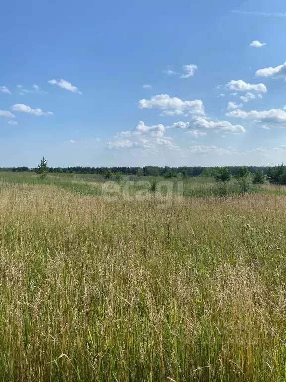 участок в челябинская область, сосновский район, солнечное с/пос, пос. . - Фото 0