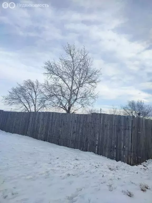 Участок в Черногорск, садовые участки (8.8 м) - Фото 0
