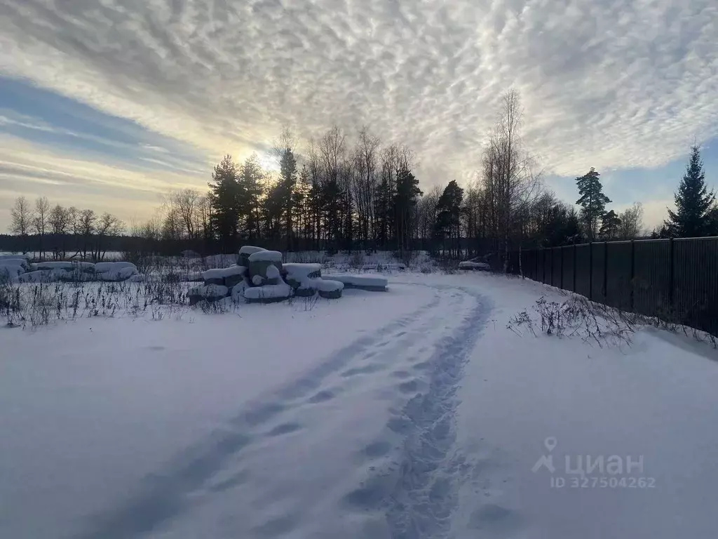 Участок в Ленинградская область, Выборг Поселок Кировские дачи,  (12.0 ... - Фото 2