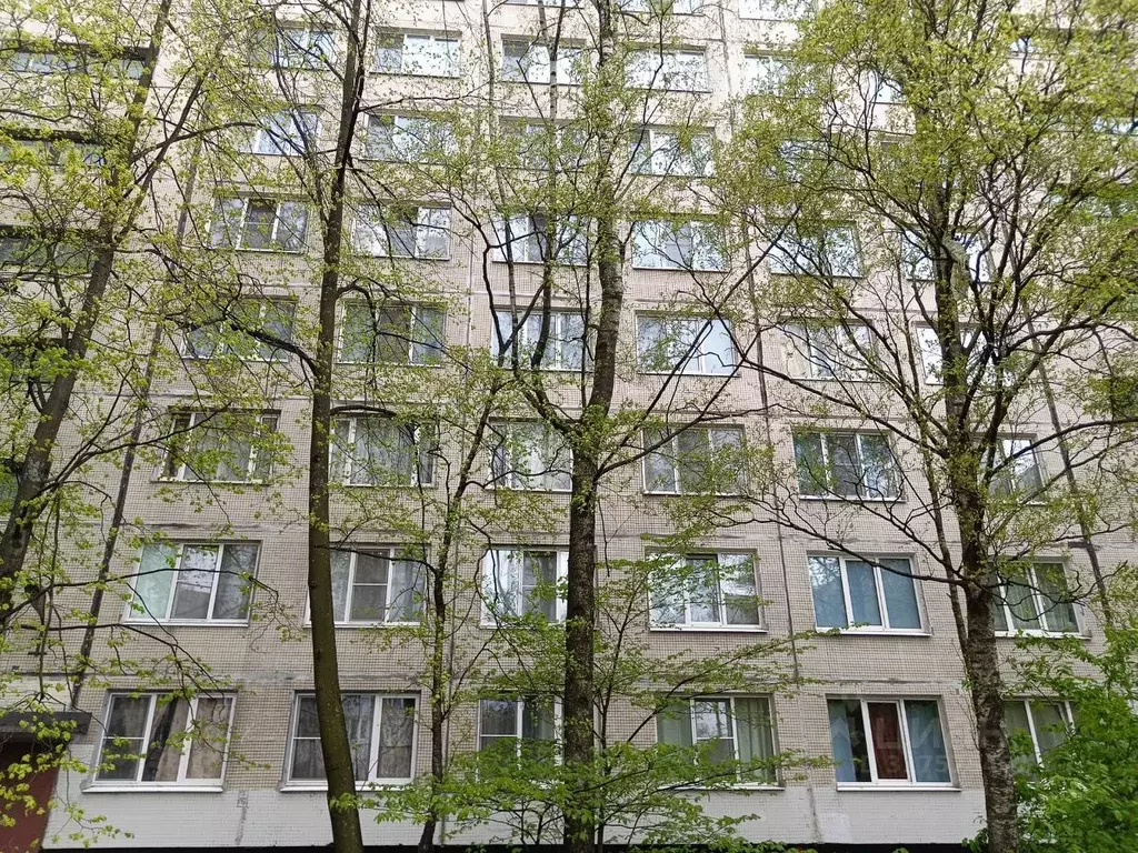 2-к кв. Санкт-Петербург Дальневосточный просп., 46/28 (44.0 м) - Фото 1
