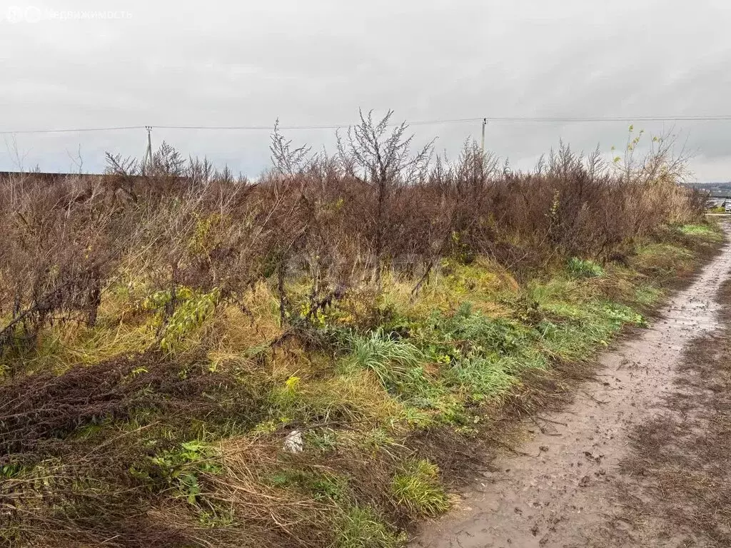 Участок в деревня Ямны, Мирная улица (15 м) - Фото 2
