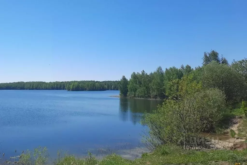 Участок в Московская область, Мытищи городской округ, д. Жостово ул. ... - Фото 1